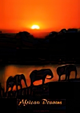 African Dreams