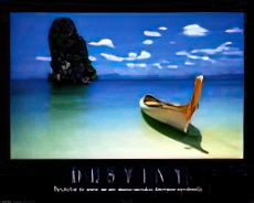 Destiny