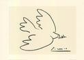 Dove of Peace