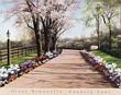 Country Lane Scenic Streets & Roadways