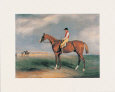 Velocipede