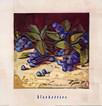 Blueberries