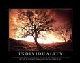 Individuality