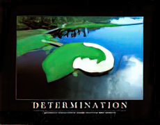 Determination
