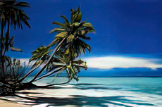 Tropical Beach