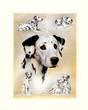 Dalmatian