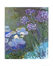 Waterlilies & Agapanthus