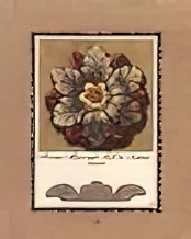 Antique Rosette V