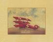 Triplane