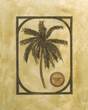 Coconut Palm