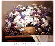 Daisies and Delphiniums
