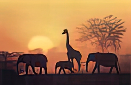 Sunset in Kenya