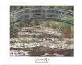 Japanese Footbridge