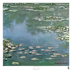 Waterlilies
