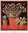 Three Pots and a Bird Bugs & Insects Butterflies & Moths