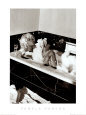 Blonde Marilyn, NYC 1990