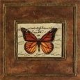Bronzed Monarch Bugs & Insects Butterflies & Moths