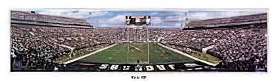 Jacksonville Jaguars 1998 Playoffs at the All-Star Stadium