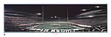 Michigan State Spartans - End Zone - vs. Notre Dame