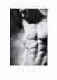 Torso