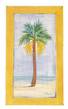 Sabal Palm