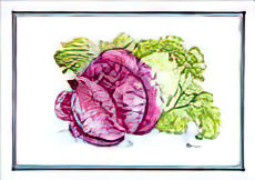 Cabbage