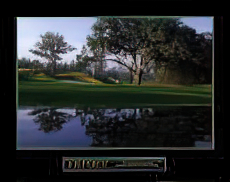 Achievement: Golf