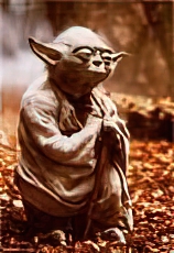 Yoda