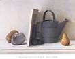 Watering Cans with Pear II