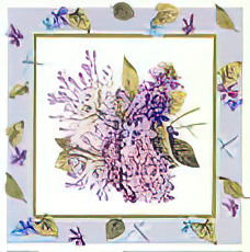 Hydrangea and Agapanthus