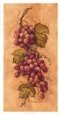 Vintage Grapevine I