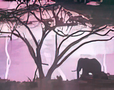 Elephant / Lightning