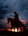 Cowboy and Sunset