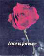 Love Is Forever