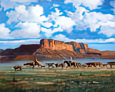 Herding Cattle
