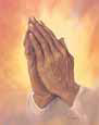 Praying Hands