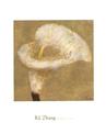 A Flower