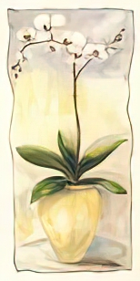 Affluent Orchard
