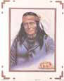 Ionni Scout