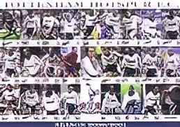 Tottenham Team Poster