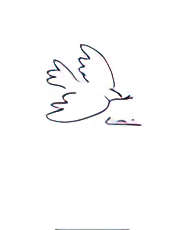 Dove of Peace