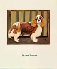 Charles Spaniel