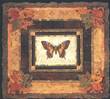 Butterfly II