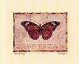 Butterfly V