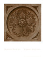Rosette II