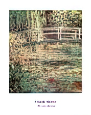 The Water Lily Pond