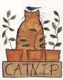 Catnip