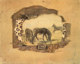 African Odyssey, Zebras