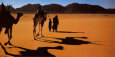 Niger Tenere Arakao
