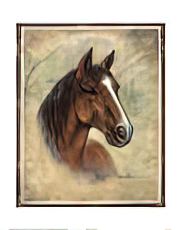 Equestrian Delight